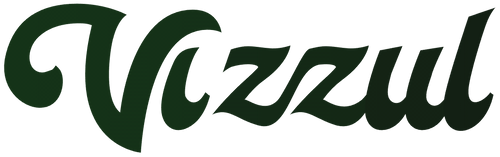 Vizzul